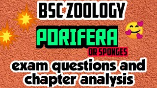 BSC ZOOLOGYPORIFERAPARAZOAFULL ANALYSISEXAM QUESTIONSIN മലയാളം [upl. by Lin]