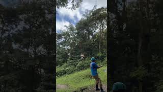 Tarzan Swing Costa Rica 🇨🇷 [upl. by Javier824]