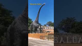 Tour in Baluarte Safari Ilocos Norte [upl. by Ydoj397]