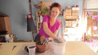 How to Repot a Kalanchoe Paddle Plant  Gardening With Flowers amp Succulents [upl. by Dnalel]