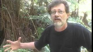 Terence McKenna  Interview Hawaii  October 1998 [upl. by Clere849]