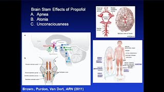 Thinking Out Loud Deciphering Mysteries of the Unconscious Brain Under General Anesthesia [upl. by Hanway433]