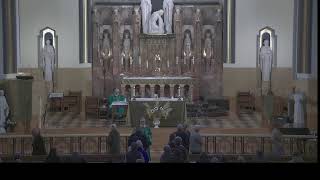 Thursday November 9  830  Dedication of Lateran Basilica  Father Ed Harnett [upl. by Nevak748]