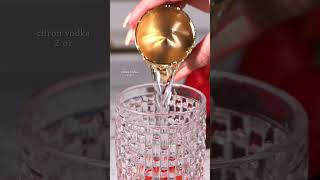 Lets make the some strawberry lemon drop shots  Absolut Citron recipe [upl. by Nnav]