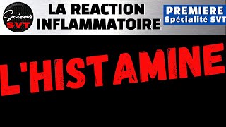 LES ROLES DE LHISTAMINE DANS LA REACTION INFLAMMATOIRE  IMMUNOLOGIE  PREMIERE SPECIALITE SVT [upl. by Amalea324]