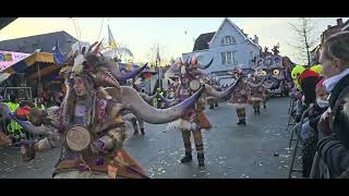 AKV De Schoitkitten Opwijk carnaval 2024 [upl. by Martens940]