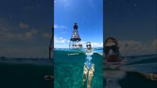 Snorkeling FL Keys Lighthouse [upl. by Wawro]