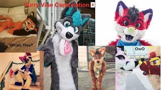 Furry Vine Compilation 8 100 Vines 2017 Ft Cosmic Wuffy Master Kenny and more [upl. by Atinek96]