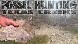 Fossil Hunting Texas Creeks  We found a Rare HAMITE AMMONITE [upl. by Einitsed]