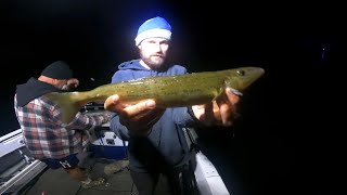 Fishing offshore and inshore of Westernport Whiting Calamari and more [upl. by Barker]