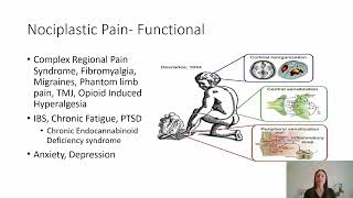 Using Psychedelics  Ketamine to Treat Nociplastic Pain [upl. by Nosyd]