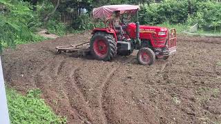 Baadi me tractor chlake mitti sab set hone ke bad sabji lagwagyen [upl. by Nahrut]