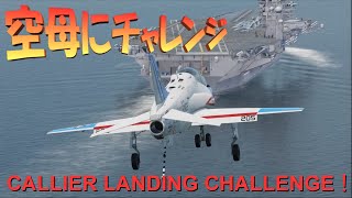 はじめての空母にチャレンジ！無事に着艦できるのか？【DCS World amp Meta Quest2】 [upl. by Allerim]