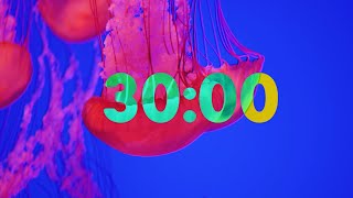 30 Minute Beautiful Jellyfish Timer with Soothing Music [upl. by Siegel]