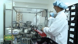 Laboratorio líder que produce 300000 vacunas contra la Encefalomielitis equina 1061 20231209 [upl. by Aicina679]