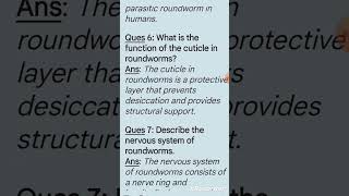 Roundworms part 1 aschelminthes zoology shorts [upl. by Ahsienel]