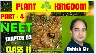 PLANT KINGDOM PART 4 I CLASS 11 BIOLOGY CHAPTER 3 I NCERT  CBSE neet neetbiology [upl. by Aramanta]