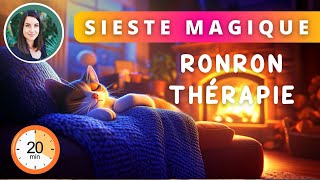 Ronronthérapie  Rechargez vos batteries avec cette SIESTE MAGIQUE [upl. by Asseniv]