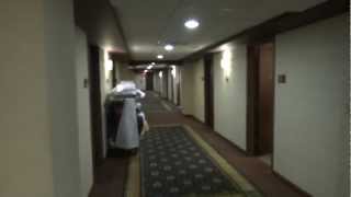 Dover Traction Scenic elevators  Galt House Hotel Suite Tower Louisville KY [upl. by Ainivad]