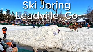 Ski Joring 2024 Leadville Colorado [upl. by Bette-Ann582]