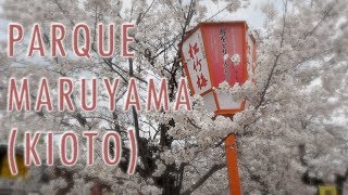 DE PASEO POR EL PARQUE MARUYAMA MARUYAMA KOEN 円山公園 [upl. by Ivens]