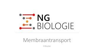 Membraantransport  Filtratie  HAVOVWO Biologie [upl. by Tereb]