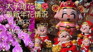 旺角太子道花墟2024年花市況行情💐新年裝飾品🧨Flower Market Hong Kong 2023 🌹New Year Decorations🧨202424 [upl. by Nahtahoj397]