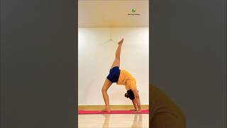 Standing chakrasana variation yogaurmi youtubeshorts shorts shortvideo ytshorts subscribe [upl. by Eedya598]