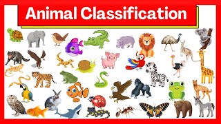 Animal Name with picture in English Animal Types  Animal Groups  Animal Classification for Kids [upl. by Amory417]