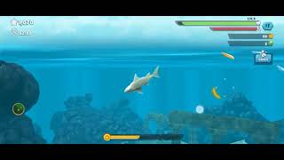 All hungry Shark 🦈 in real life gameplay [upl. by Nasas]