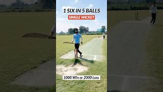 Rathore SONIPATIYA 2nd SET 1000rs Double ka bhaav 😱 trending cricket shorts funny t20 [upl. by Crelin492]