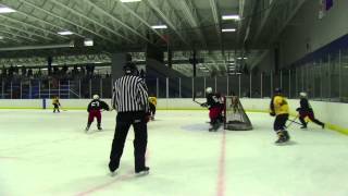 ADMIRALS HOCKEY CLUB V GENEVA CYCLONES  MAY 2014  LEAFS ICE AREANA  720p [upl. by Eibba]