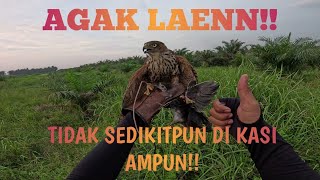 AGAK LAEN PERTARUNGAN YANG SENGIT [upl. by Pepper]