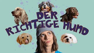 Der richtige Hund für Anfänger  der erste Hund zieht ein  Ersthundehalter  hundplusherz [upl. by Ewell]