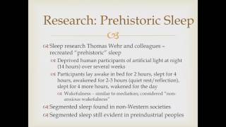 Historical Sleep Patterns in Humans Sleep and Dreaming [upl. by Gaut]