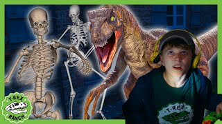 Giant Dinos amp Skeleton Escape Haunted House  TRex Ranch Dinosaur Videos [upl. by Myrtle223]