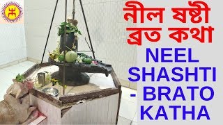 নীল ষষ্টী ব্রত কথা  Neel Shashti Brato Katha  সন্তানের দীর্ঘায়ু কামনার ষষ্ঠী পূজা [upl. by Neirda154]