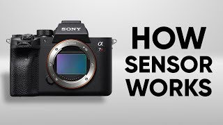 How Camera Sensor Works  Camera Sensor Explained [upl. by Ellenahc]