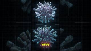 Does Virus visible under microscope shortvideo viralvideo [upl. by Einuj]