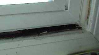 Insulating New Windows Problem [upl. by Gottfried84]