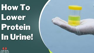 How to lower protein in the urine Diet and medications [upl. by Hedwiga]