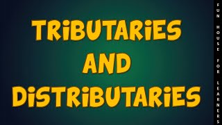 Tributaries and Distributaries [upl. by Rosenblatt474]