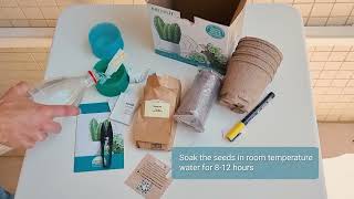 Cactus amp Succulent Starter Kit  DIY from seed Step by step video tutorial [upl. by Llenrad]