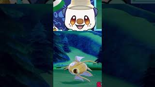 🟡🐟Shiny Random Magikarp pokemon pokemonswordandshieldshinyhunting [upl. by Rehpotirhc180]