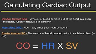 Physiology CALCULATING CARDIAC OUTPUT HEART RATE and STROKE VOLUME Practice Problems [upl. by Yznyl]