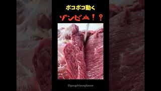 ポコポコ動くゾンビ肉！？ [upl. by Alcinia]