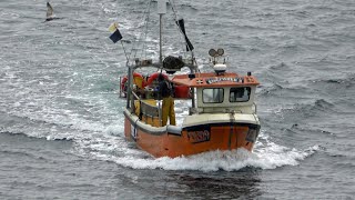 Fishing boat quotKingfisher IIquot coming home Cadgwith Cove Cornwall May 2022 [upl. by Enileme]