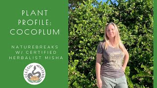 Cocoplum Plant Profile Native Florida Edible coastal and medicinal plant [upl. by Ellary]