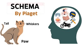 Piaget  Schema in 2 minutes  Constructs and Critical Perspectives [upl. by Ansaev]