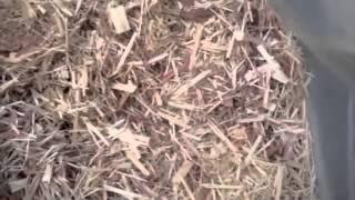 How to make charcoal briquettes from sawdust [upl. by Amak]